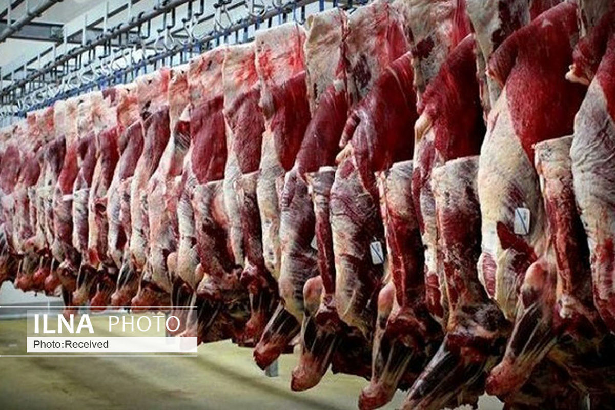 افزایش قیمت گوشت گوسفند در روزهای گذشته ​